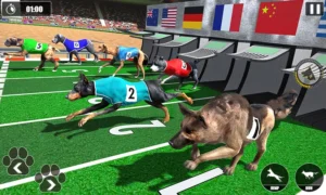 Cách Chơi Game Nhanh Đua Chó Tại V9Bet Để Tăng Cơ Hội Thắng