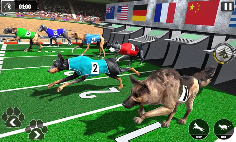 Cách Chơi Game Nhanh Đua Chó Tại V9Bet Để Tăng Cơ Hội Thắng