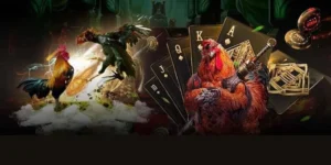 Hướng Dẫn Cách Chơi Đá Gà 3D Tại V9Bet Hiệu Quả Nhất