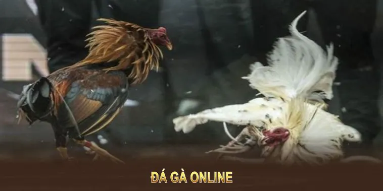 Hướng Dẫn Cách Chơi Đá Gà WS168 Tại V9Bet Hiệu Quả Nhất 2 Hướng Dẫn Cách Chơi Đá Gà WS168 Tại V9Bet Hiệu Quả Nhất