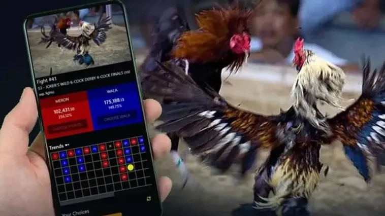 Đá Gà V9Bet - Sân Chơi Đỉnh Cao Cho Bet Thủ Năm 2025