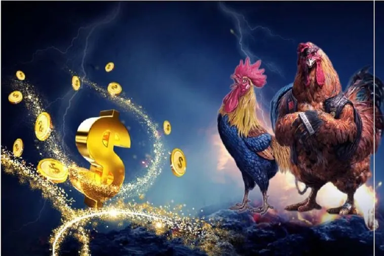 Hướng Dẫn Cách Chơi Đá Gà WS168 Tại V9Bet Hiệu Quả Nhất