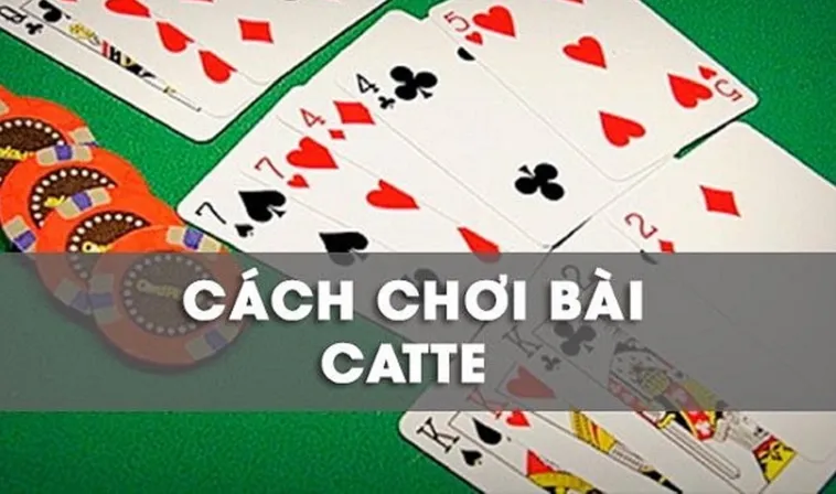 Hướng Dẫn Cách Chơi Sắc Tê V9Bet Chuẩn Xác Nhất 2025 2 Hướng Dẫn Cách Chơi Sắc Tê V9Bet Chuẩn Xác Nhất 2025